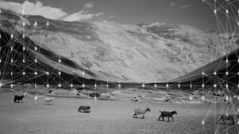 Landscape of mountain with animals layered with grid-like intersecting dots and lines.