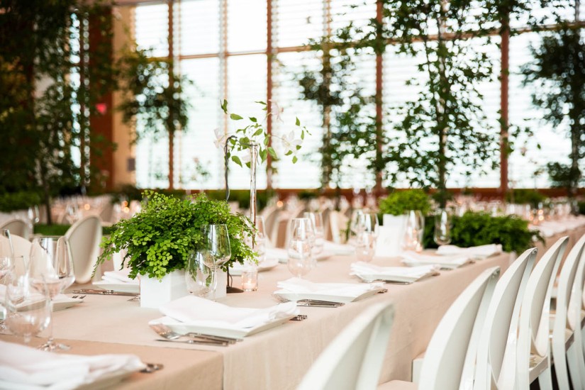 long tables set with green plants in vases