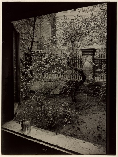 Josef Sudek. The Window of My Studio - Spring in My Garden
