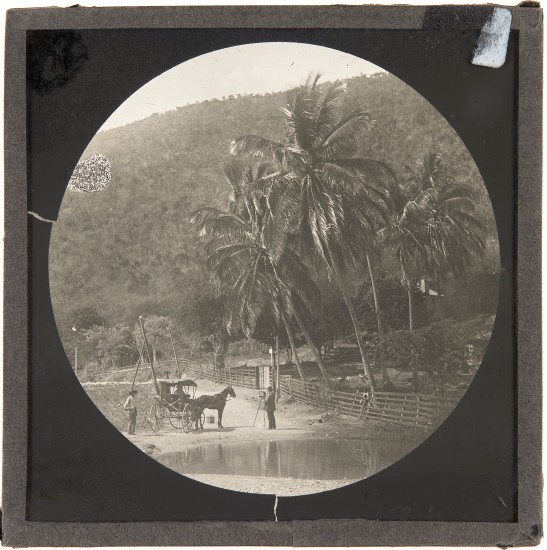 rossing a River, Jamaica, 1900. Lantern slide: gelatin silver on glass.