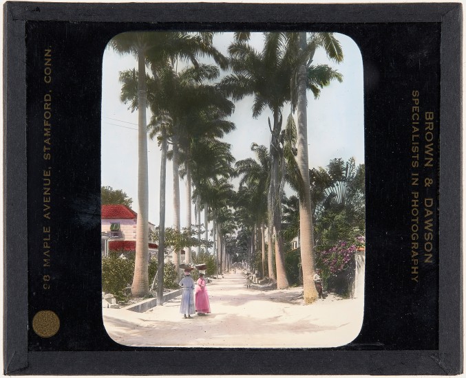 A Street of Palms, Barbados, around 1900. Lantern slide: hand-painted gelatin silver on glass.