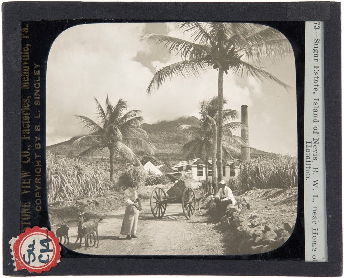 Sugar Estate, Near Home of Alexander Hamilton, St. Nevis, around 1900. Lantern slide: gelatin silver on glass.