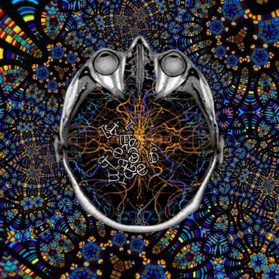Black brain on psychedelic black and patterned background