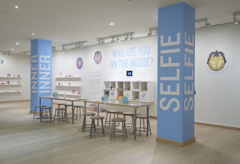 Interior shot of Inner Selfies exhibition