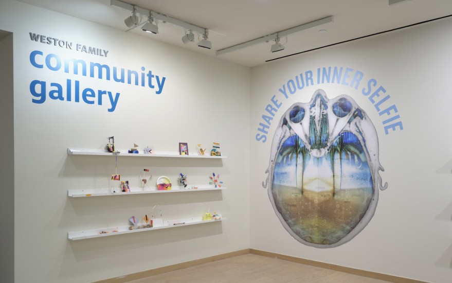 Interior shot of Community Gallery wall text and large vinyl MRI brain scan